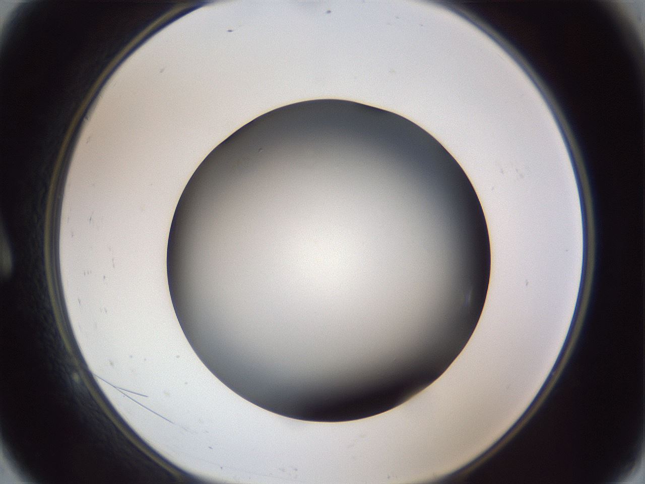 folderID305_plateID1305_batchID4293_wellNum9_profileID1_d1_r77824_ef.jpg