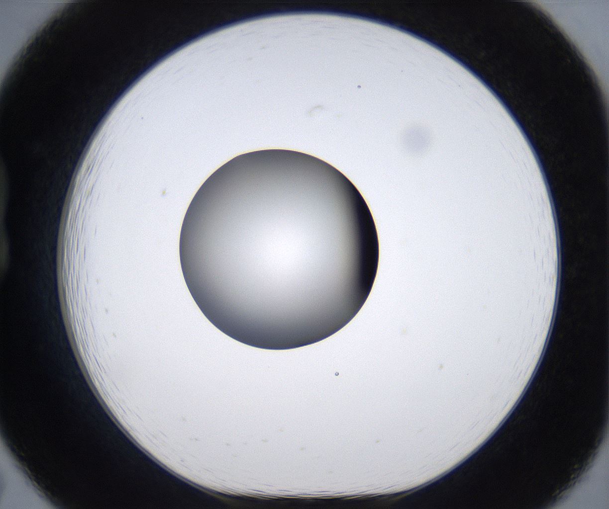 folderID305_plateID2305_batchID10850_wellNum19_profileID1_d1_r161248_ef.jpg