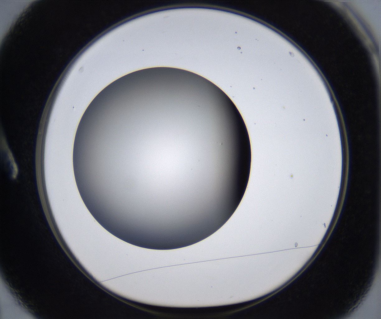 folderID305_plateID2305_batchID10850_wellNum3_profileID1_d1_r161232_ef.jpg