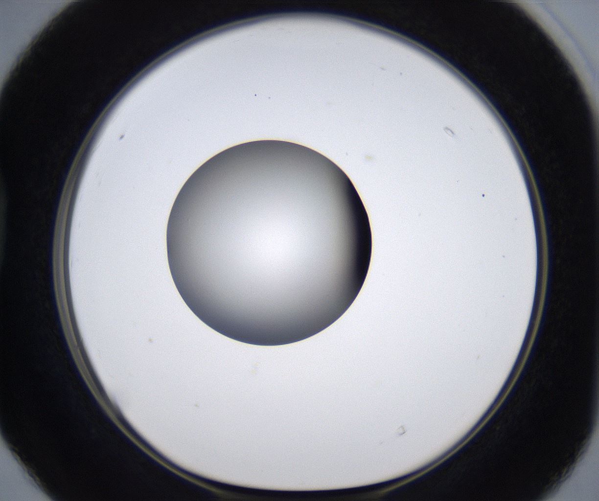 folderID305_plateID2305_batchID10850_wellNum40_profileID1_d1_r161269_ef.jpg