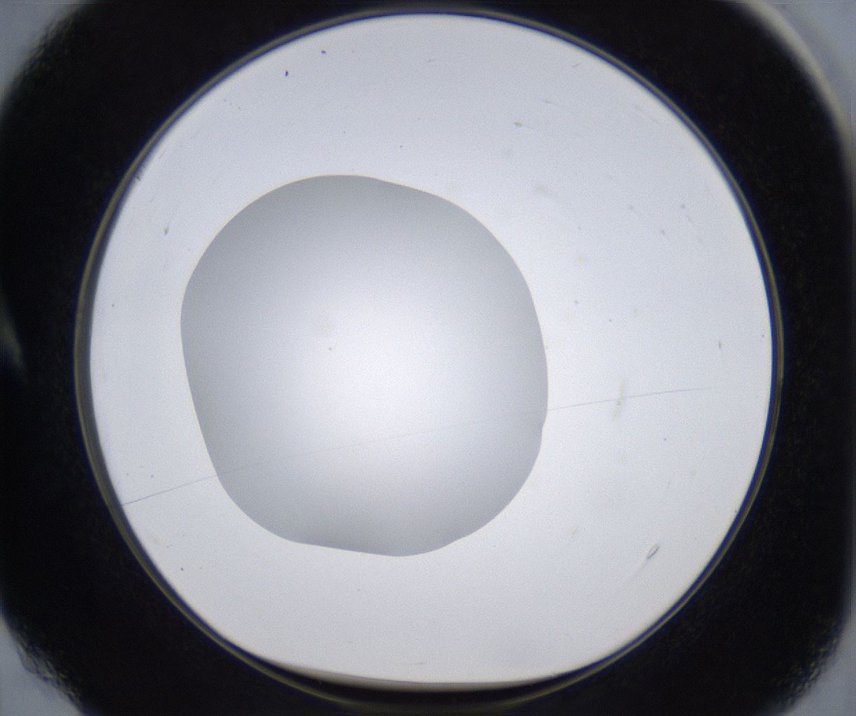 folderID305_plateID2305_batchID10850_wellNum4_profileID1_d1_r161233_ef.jpg