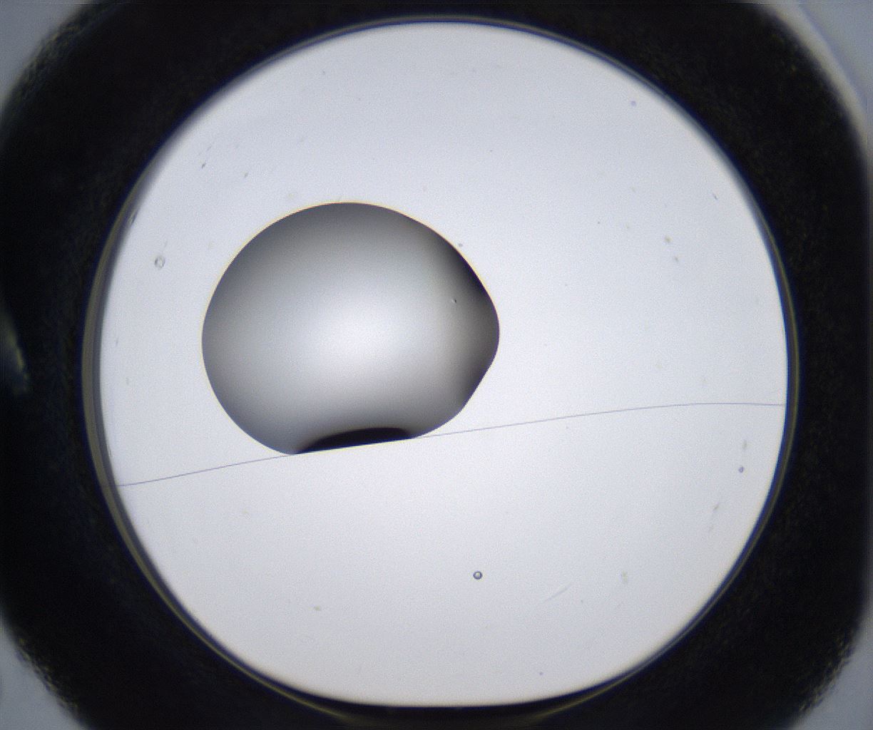 folderID305_plateID2305_batchID10850_wellNum5_profileID1_d1_r161234_ef.jpg
