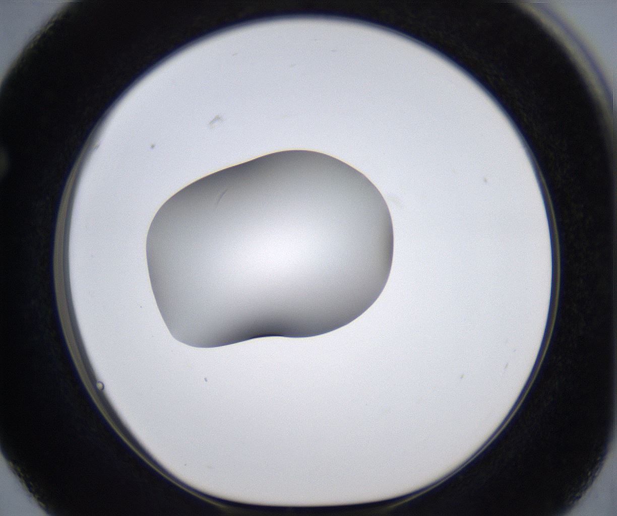 folderID305_plateID2305_batchID10850_wellNum63_profileID1_d1_r161292_ef.jpg