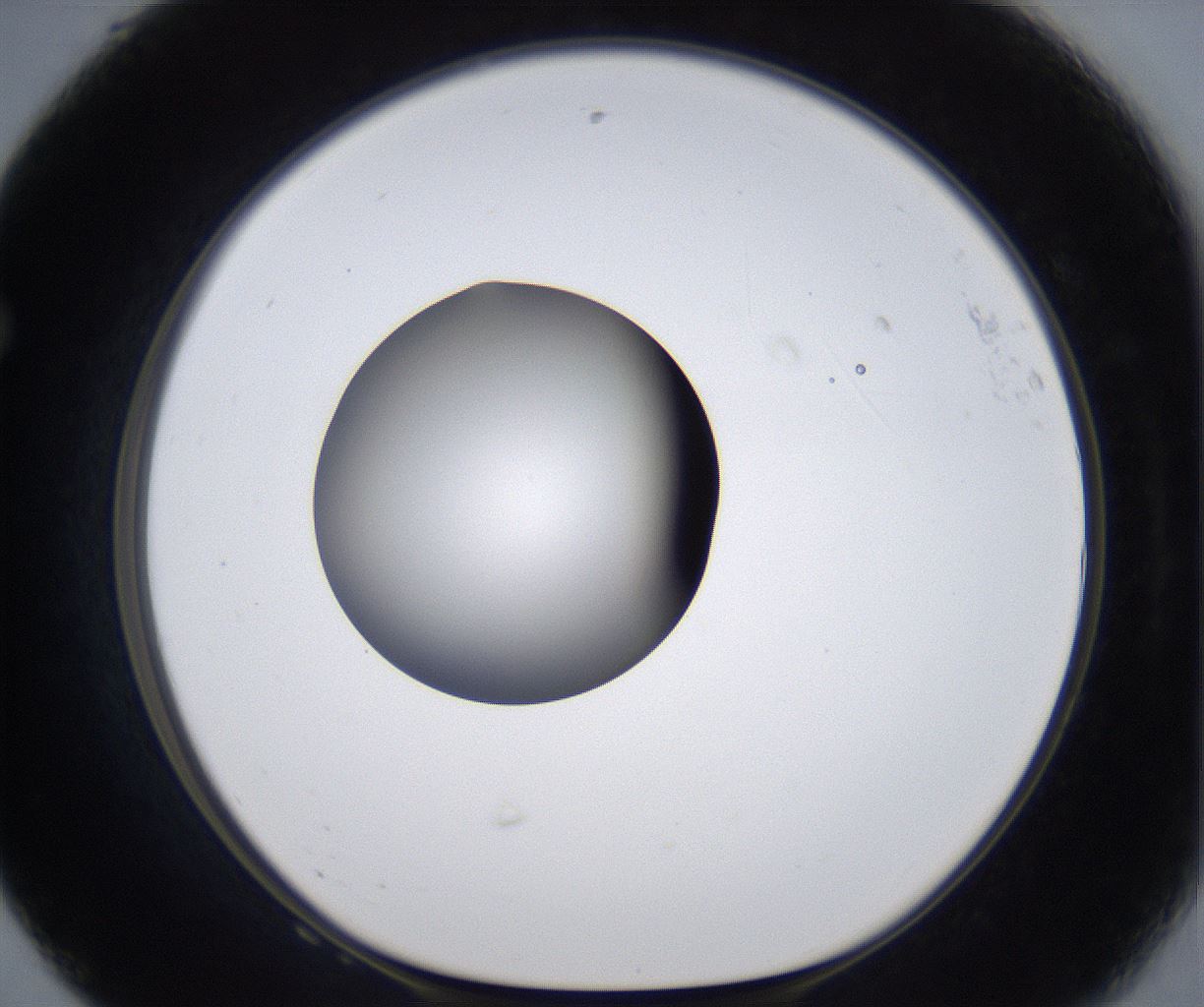 folderID305_plateID2305_batchID10850_wellNum68_profileID1_d1_r161297_ef.jpg