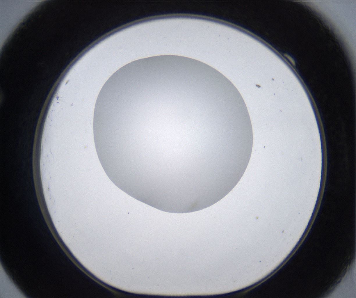 folderID305_plateID2305_batchID10850_wellNum69_profileID1_d1_r161298_ef.jpg