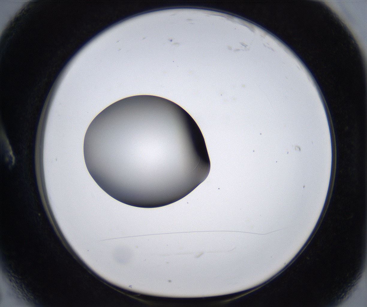 folderID305_plateID2305_batchID10850_wellNum6_profileID1_d1_r161235_ef.jpg