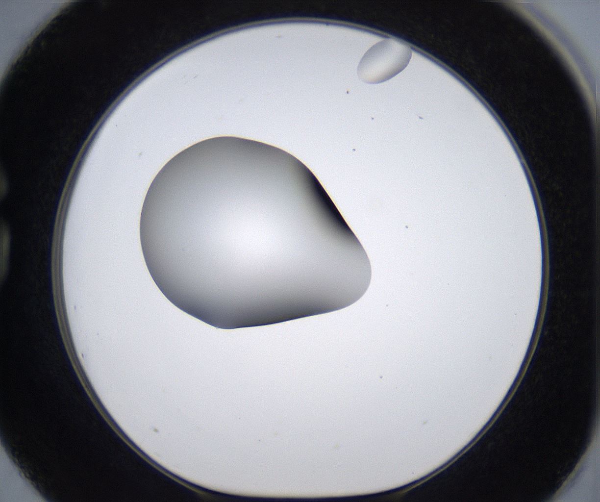 folderID305_plateID2305_batchID10850_wellNum75_profileID1_d1_r161304_ef.jpg