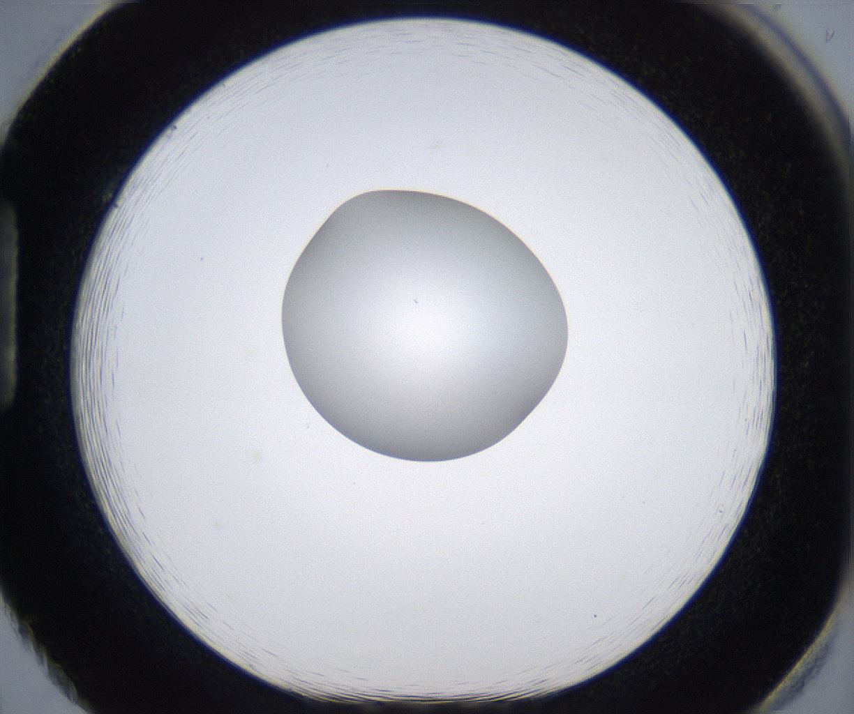 folderID305_plateID2305_batchID10850_wellNum86_profileID1_d1_r161315_ef.jpg