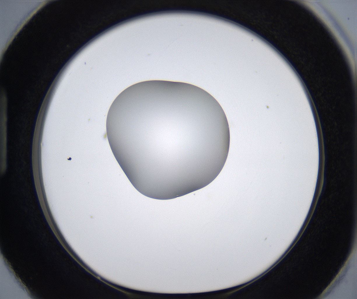 folderID305_plateID2305_batchID10850_wellNum87_profileID1_d1_r161316_ef.jpg