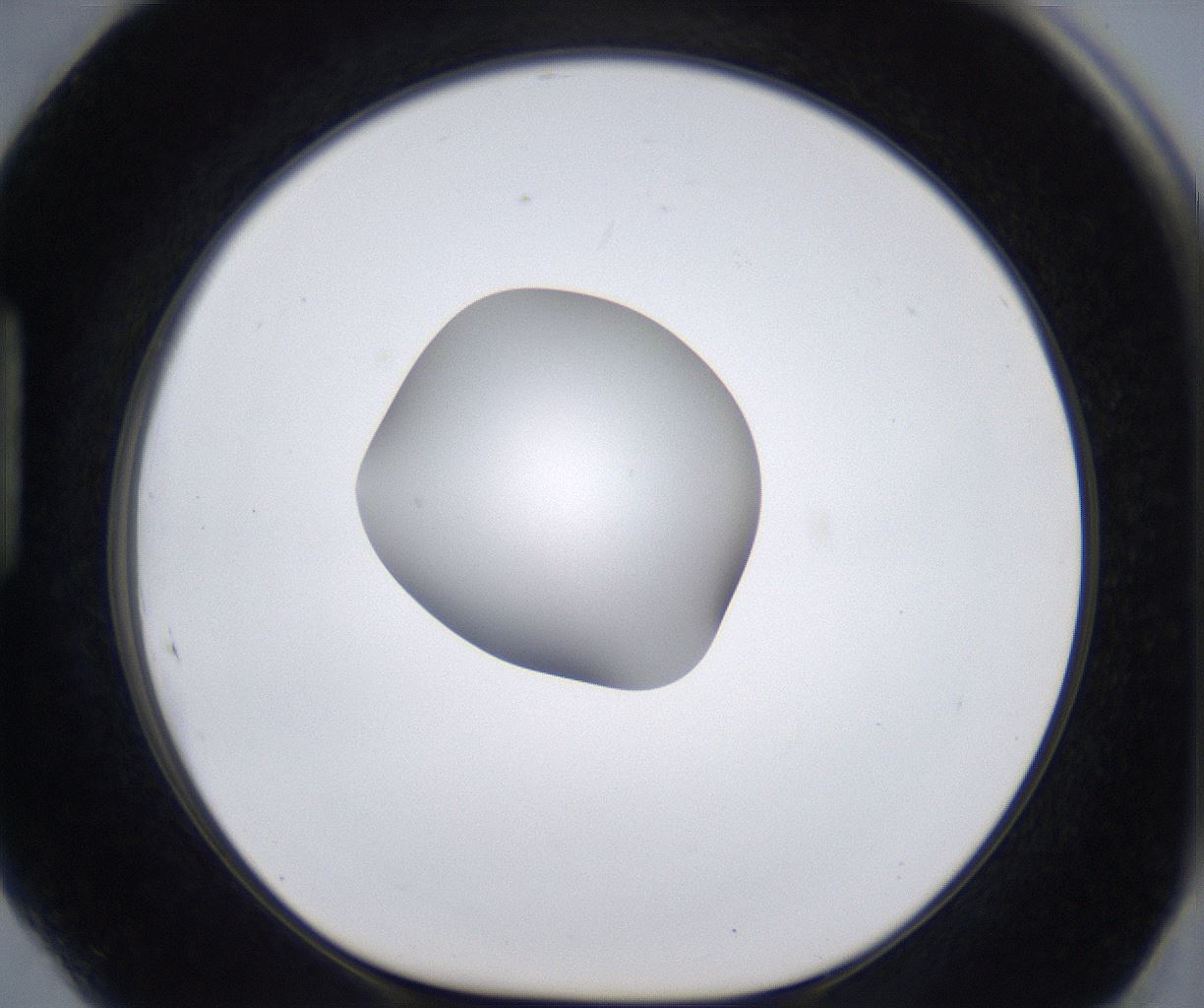 folderID305_plateID2305_batchID10850_wellNum89_profileID1_d1_r161318_ef.jpg