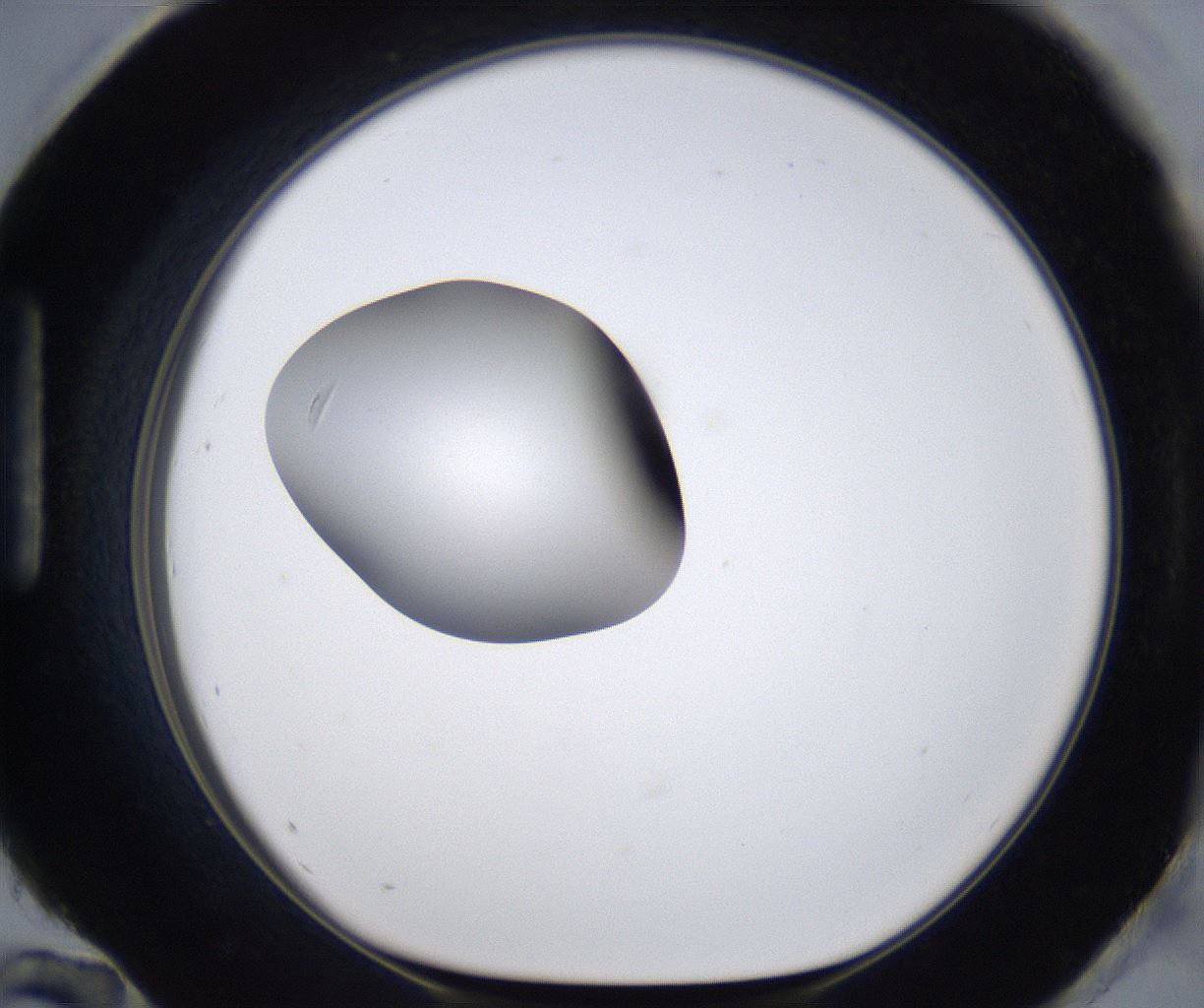 folderID305_plateID2305_batchID10850_wellNum96_profileID1_d1_r161325_ef.jpg