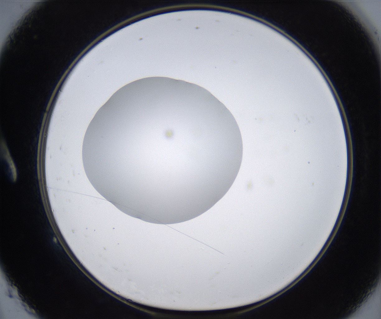 folderID305_plateID2305_batchID10850_wellNum9_profileID1_d1_r161238_ef.jpg