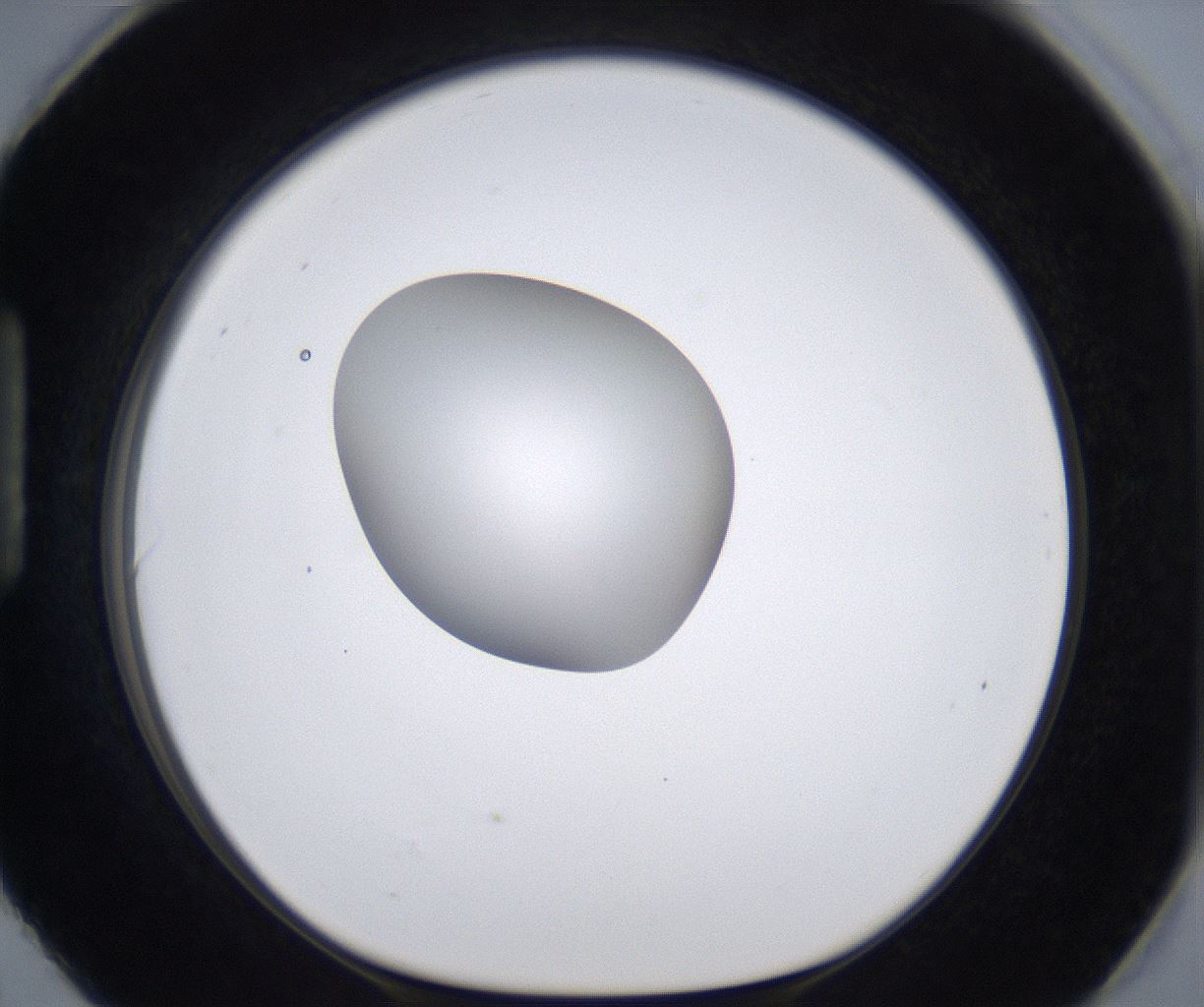 folderID305_plateID2305_batchID10850_wellNum90_profileID1_d1_r161319_ef.jpg