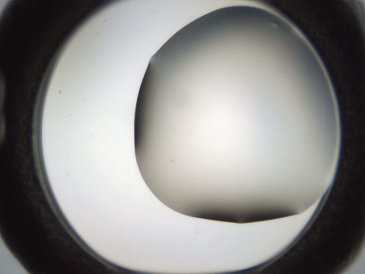 folderID306_plateID2306_batchID10871_wellNum17_profileID1_d1_r162311_ef.jpg