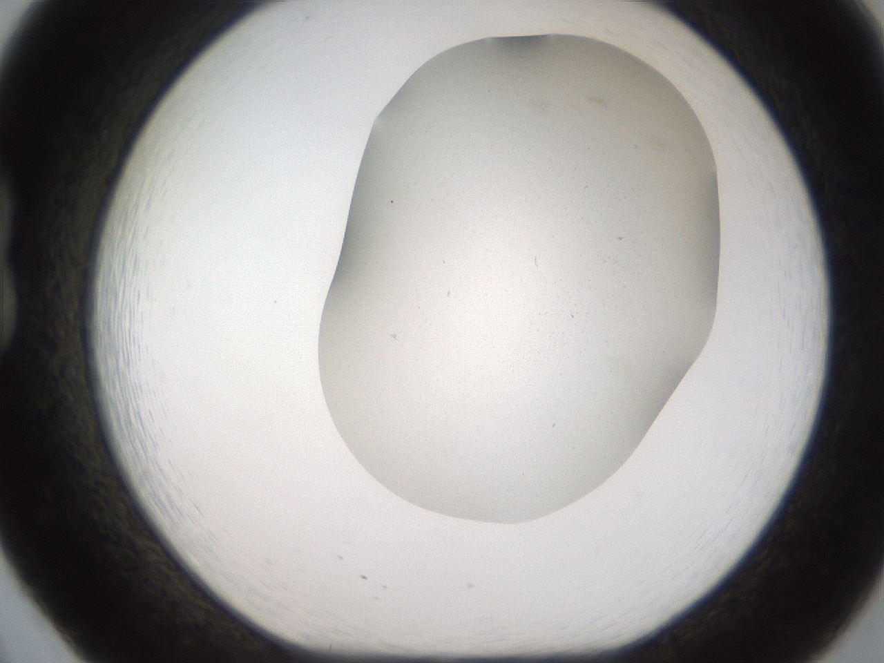 folderID306_plateID2306_batchID10871_wellNum20_profileID1_d1_r162314_ef.jpg