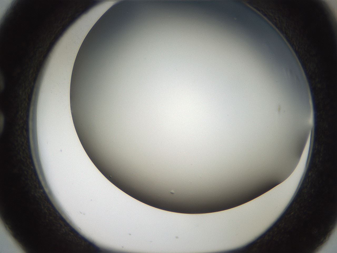 folderID306_plateID2306_batchID10871_wellNum26_profileID1_d1_r162320_ef.jpg