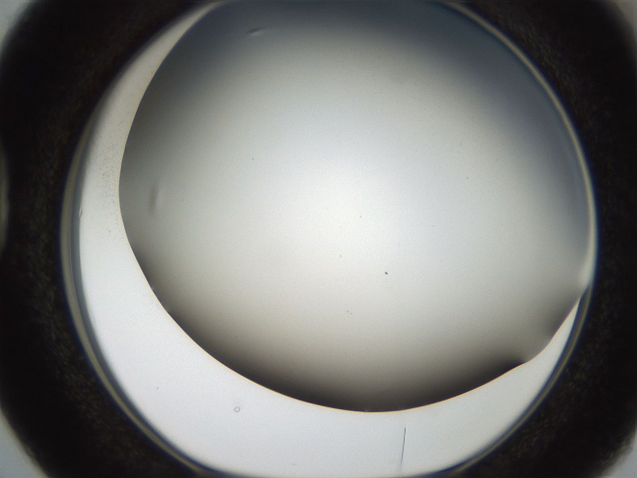 folderID306_plateID2306_batchID10871_wellNum38_profileID1_d1_r162332_ef.jpg