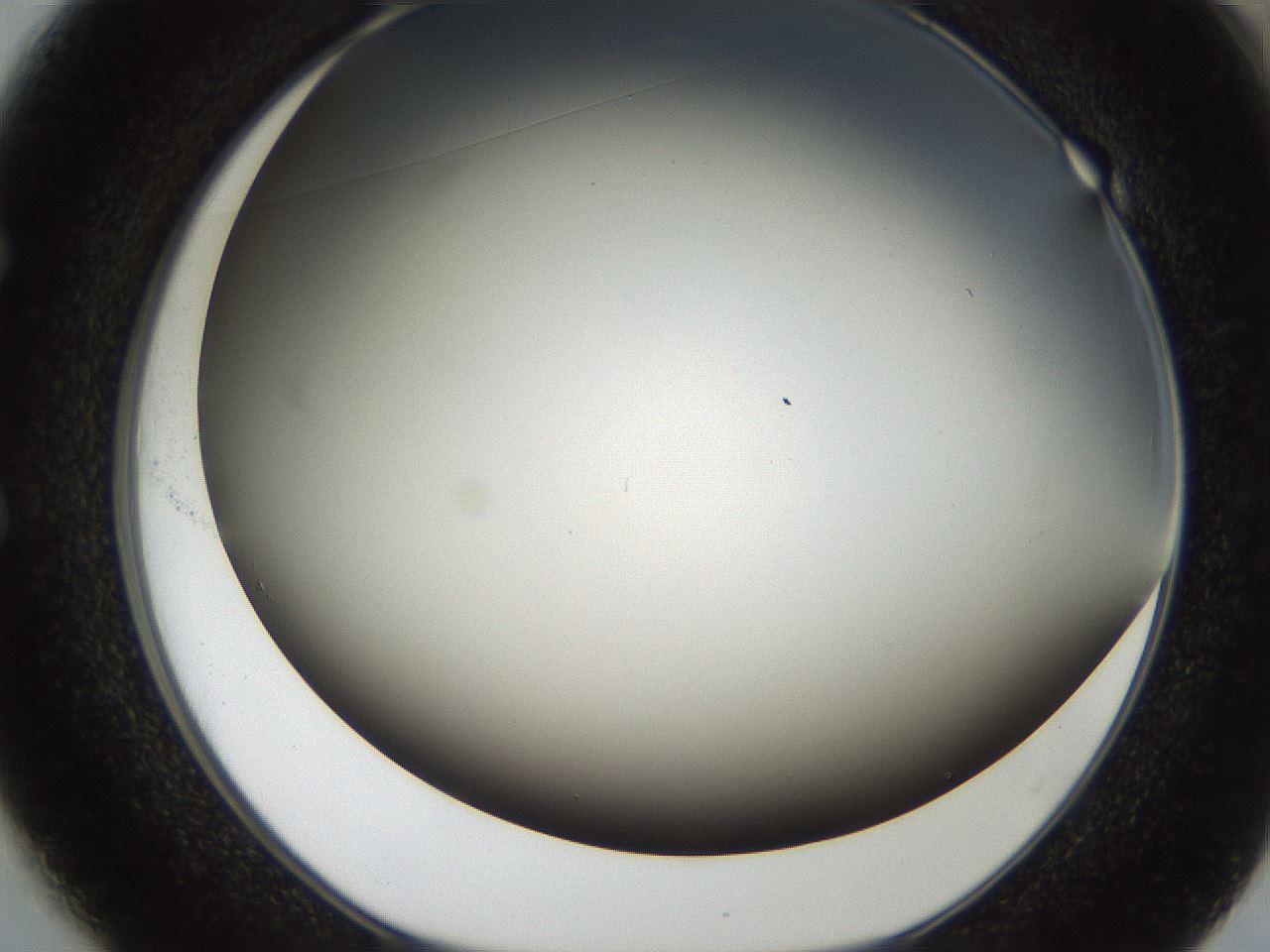 folderID306_plateID2306_batchID10871_wellNum49_profileID1_d1_r162343_ef.jpg