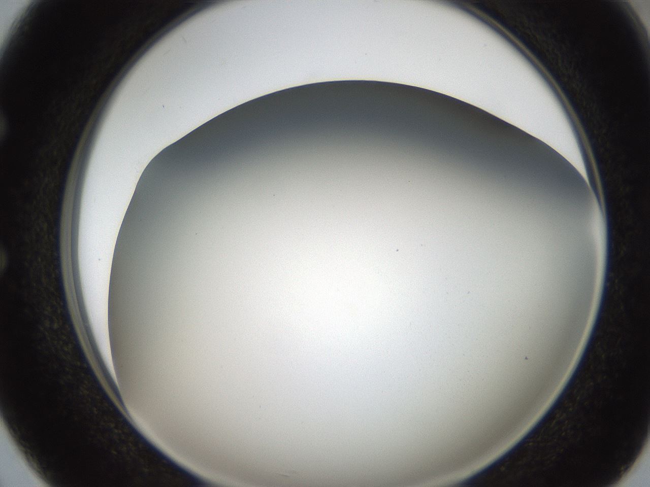 folderID306_plateID2306_batchID10871_wellNum50_profileID1_d1_r162344_ef.jpg