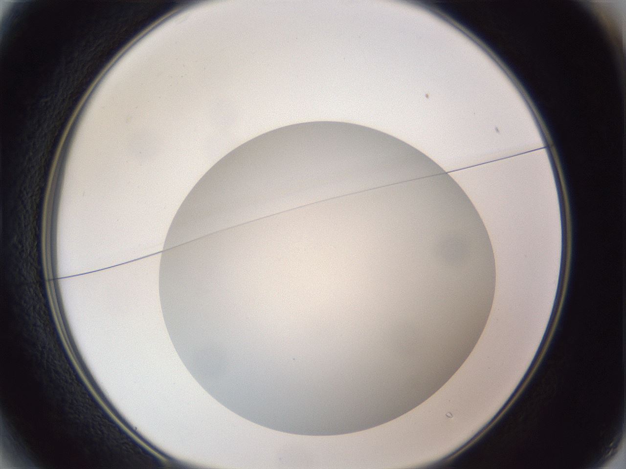 folderID307_plateID1307_batchID4263_wellNum13_profileID1_d1_r78404_ef.jpg