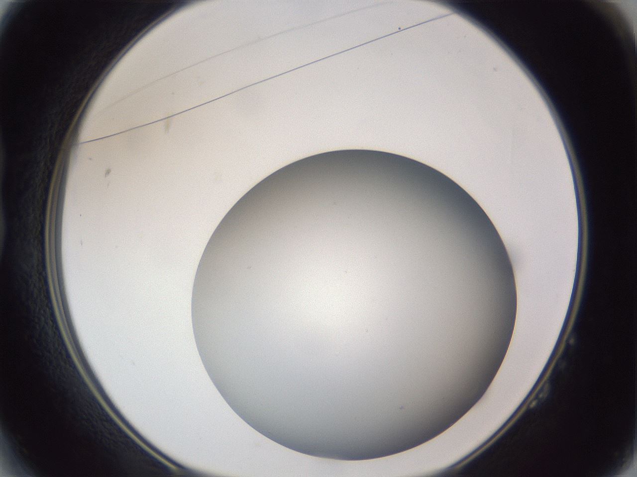 folderID307_plateID1307_batchID4263_wellNum14_profileID1_d1_r78405_ef.jpg