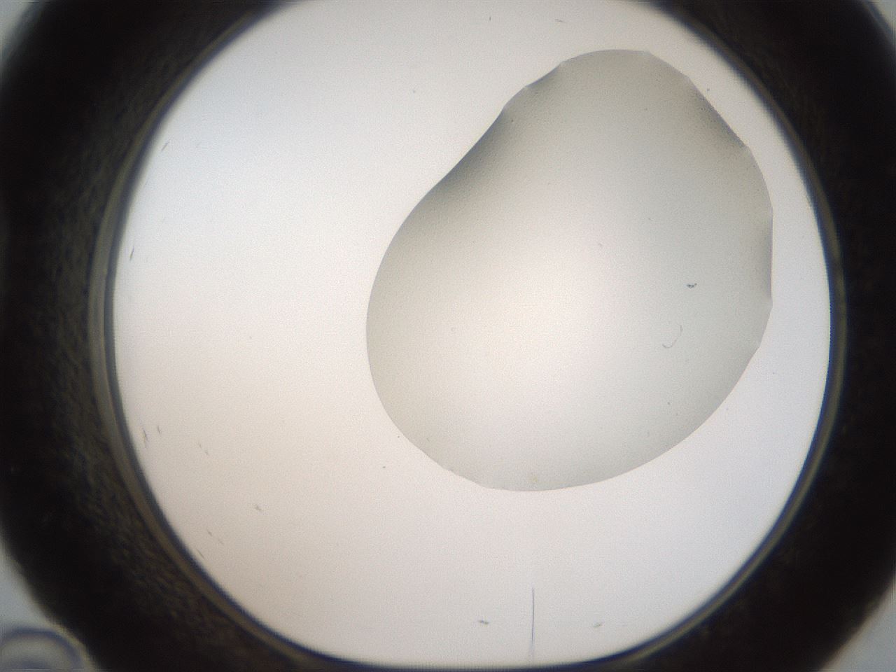 folderID306_plateID2306_batchID10871_wellNum46_profileID1_d1_r162340_ef.jpg