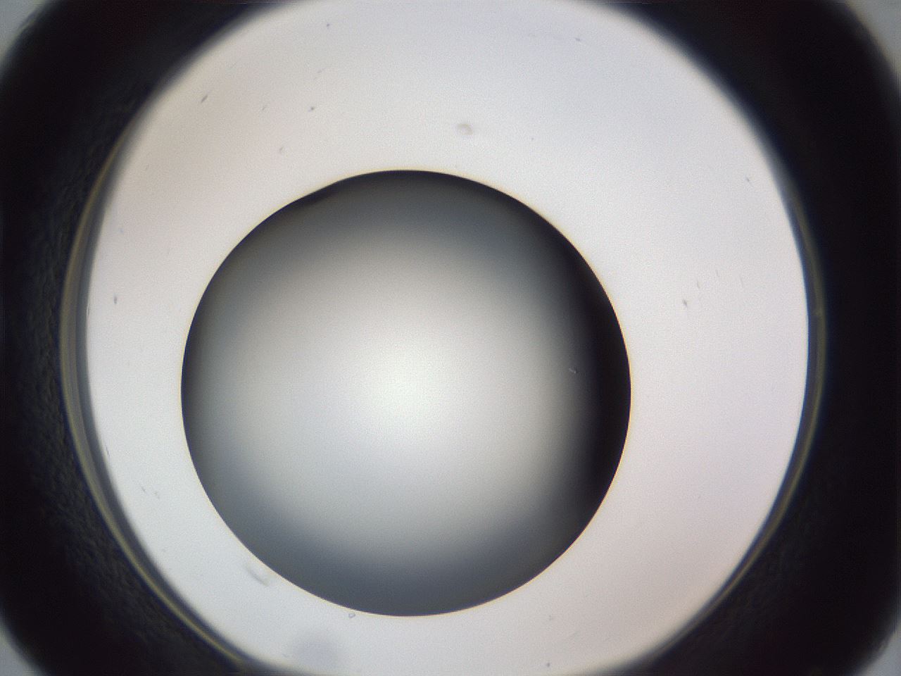 folderID307_plateID1307_batchID4263_wellNum16_profileID1_d1_r78407_ef.jpg