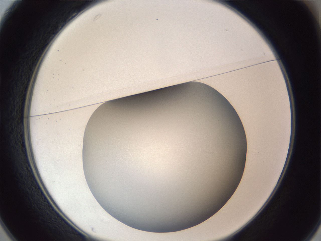 folderID307_plateID1307_batchID4263_wellNum25_profileID1_d1_r78416_ef.jpg