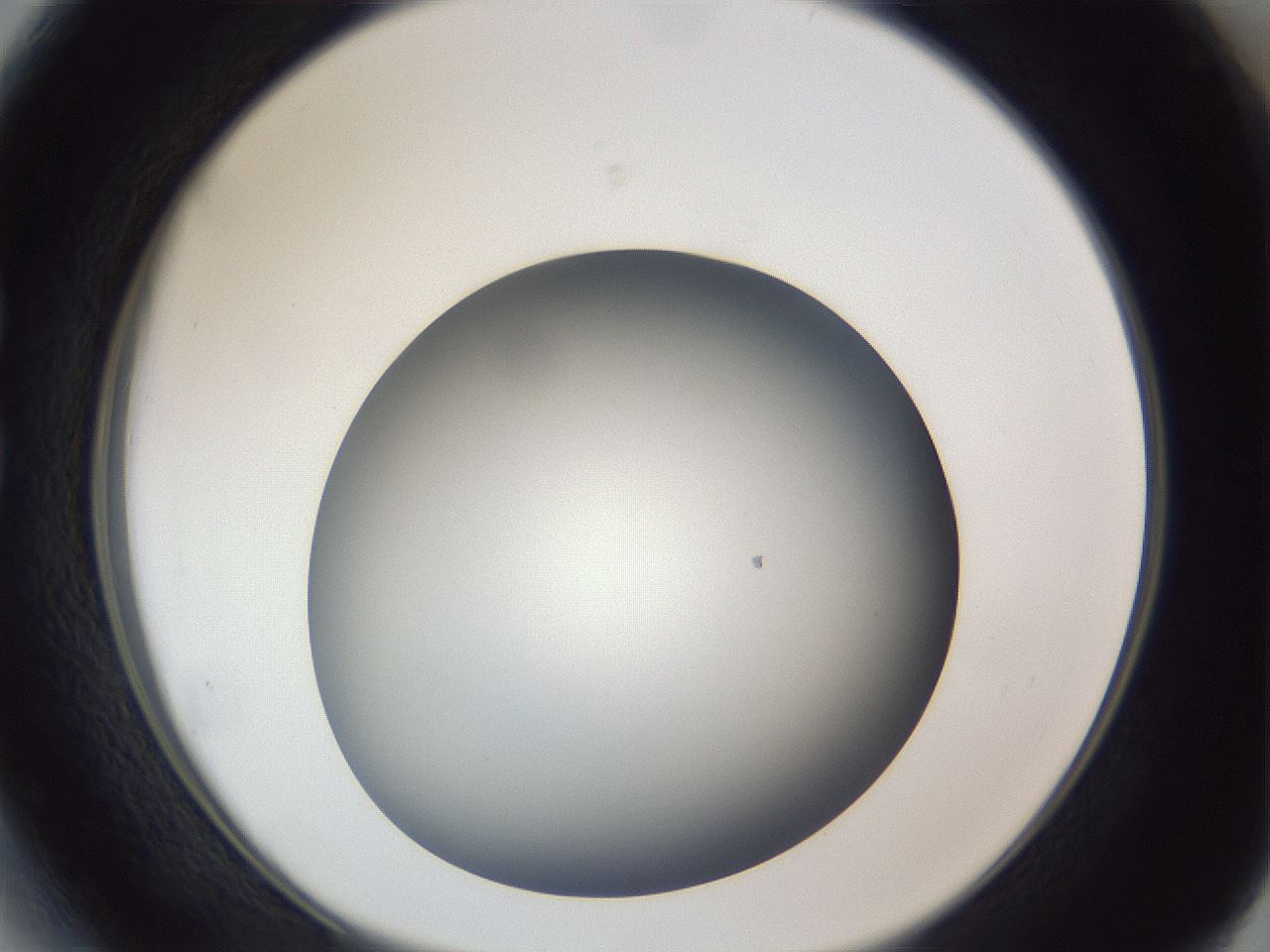 folderID307_plateID1307_batchID4263_wellNum27_profileID1_d1_r78418_ef.jpg