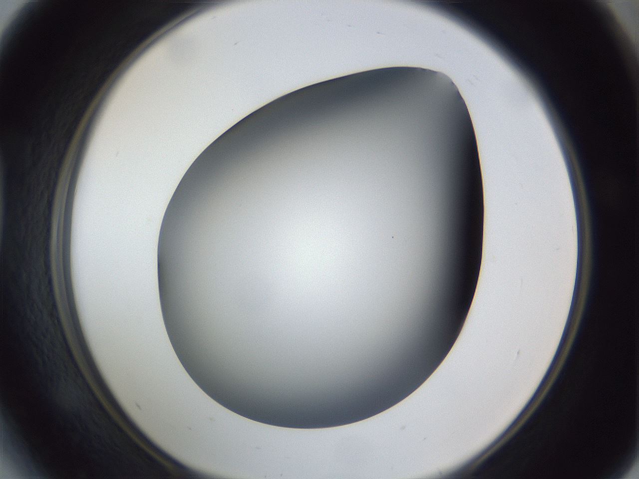 folderID307_plateID1307_batchID4263_wellNum41_profileID1_d1_r78432_ef.jpg