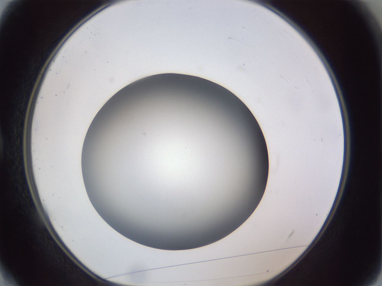 folderID307_plateID1307_batchID4263_wellNum4_profileID1_d1_r78395_ef.jpg