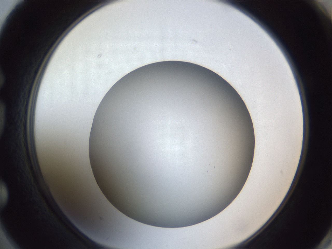 folderID307_plateID1307_batchID4263_wellNum74_profileID1_d1_r78465_ef.jpg