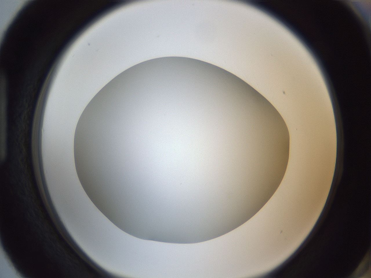 folderID307_plateID1307_batchID4263_wellNum87_profileID1_d1_r78478_ef.jpg