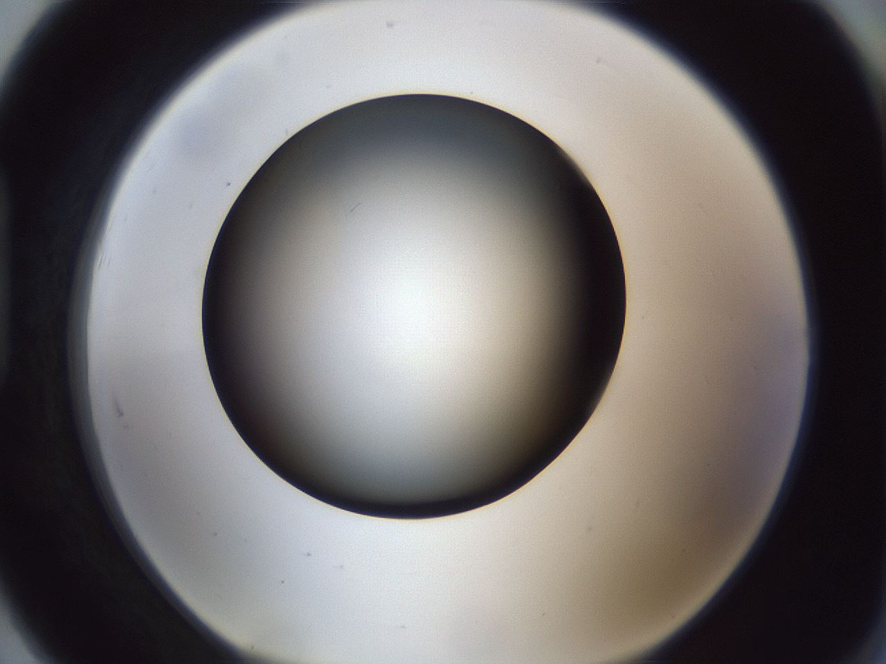 folderID307_plateID1307_batchID4263_wellNum91_profileID1_d1_r78482_ef.jpg