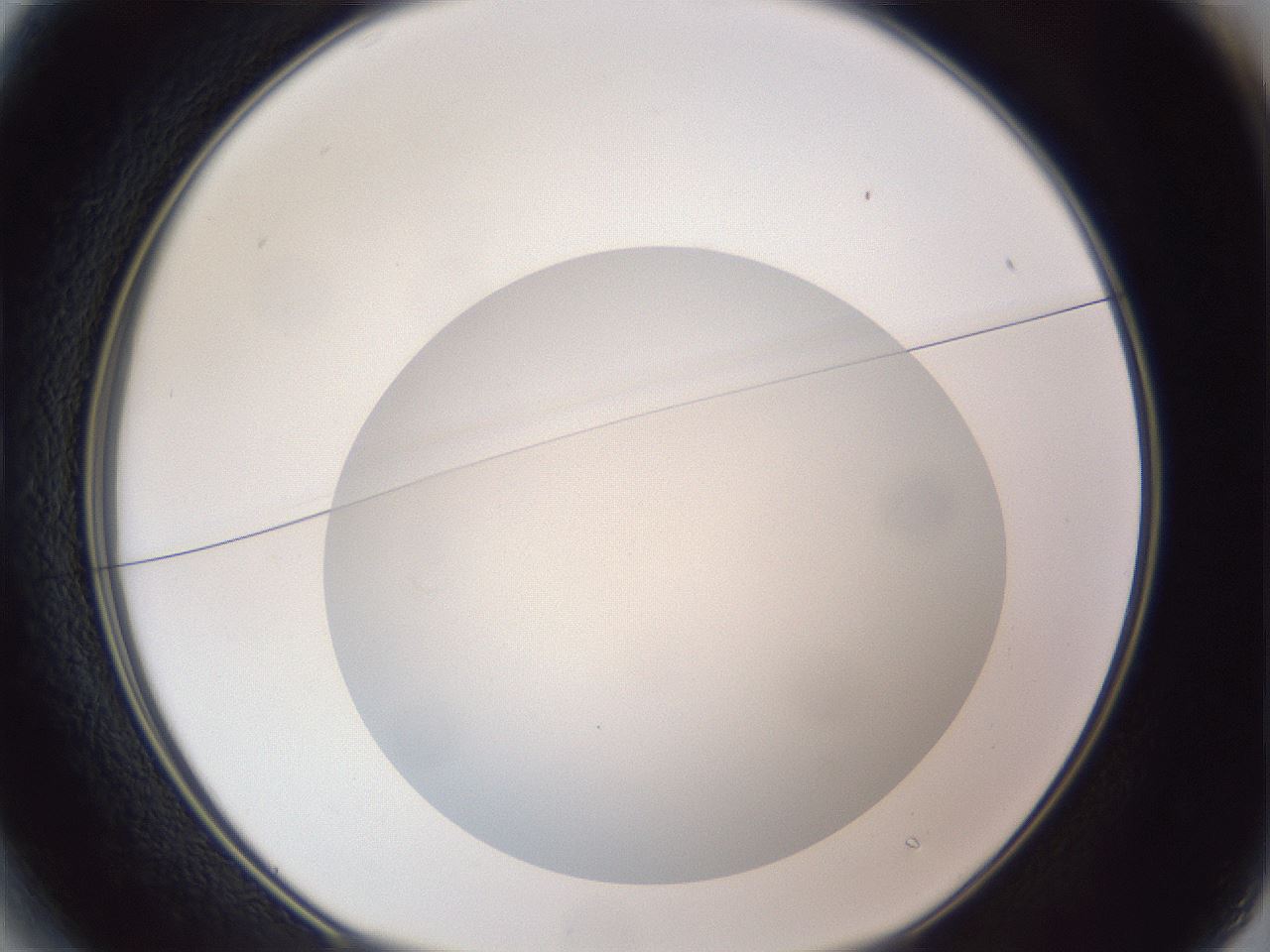 folderID307_plateID1307_batchID4302_wellNum13_profileID1_d1_r78404_ef.jpg