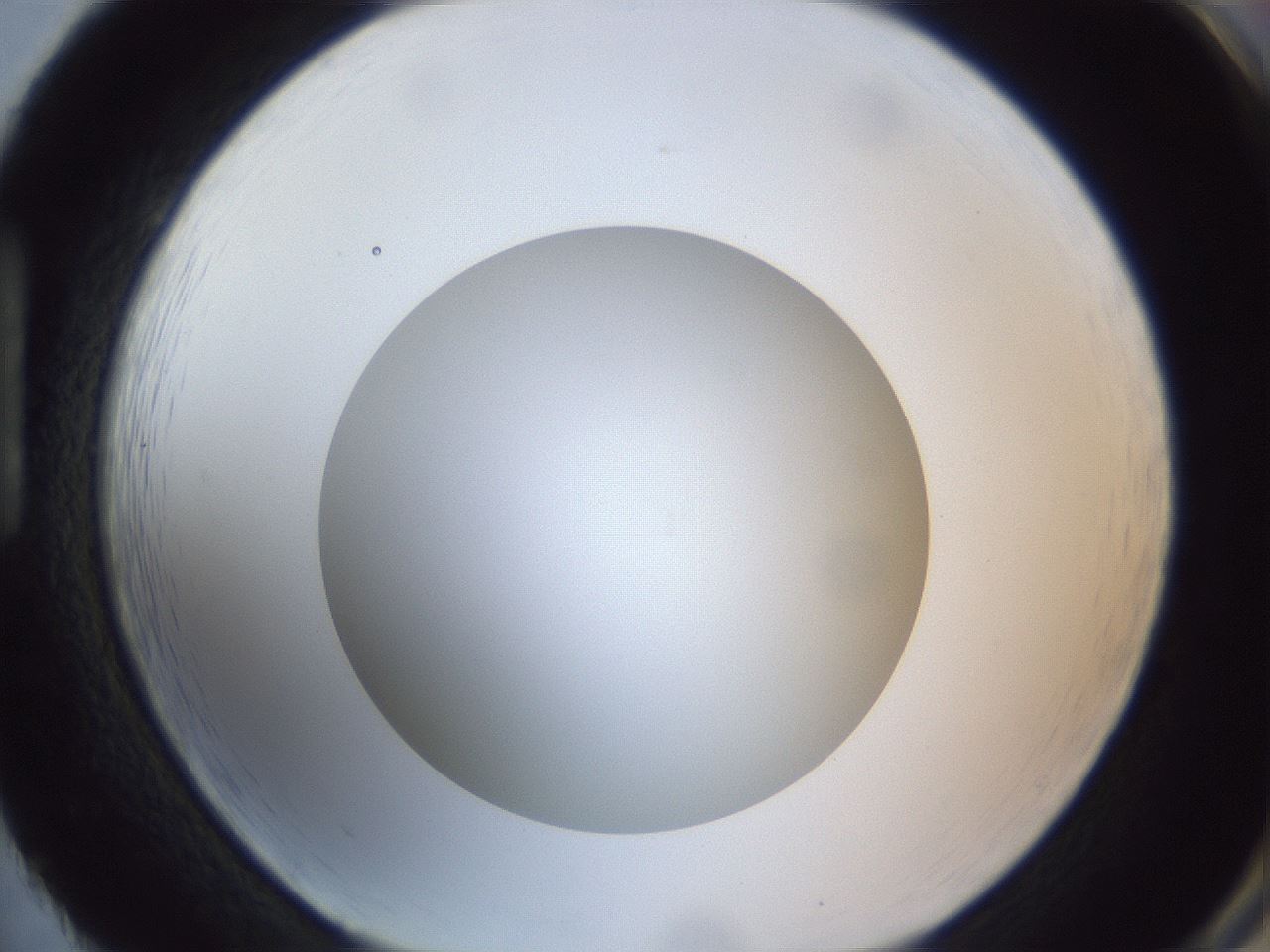 folderID308_plateID1308_batchID4271_wellNum86_profileID1_d1_r78957_ef.jpg