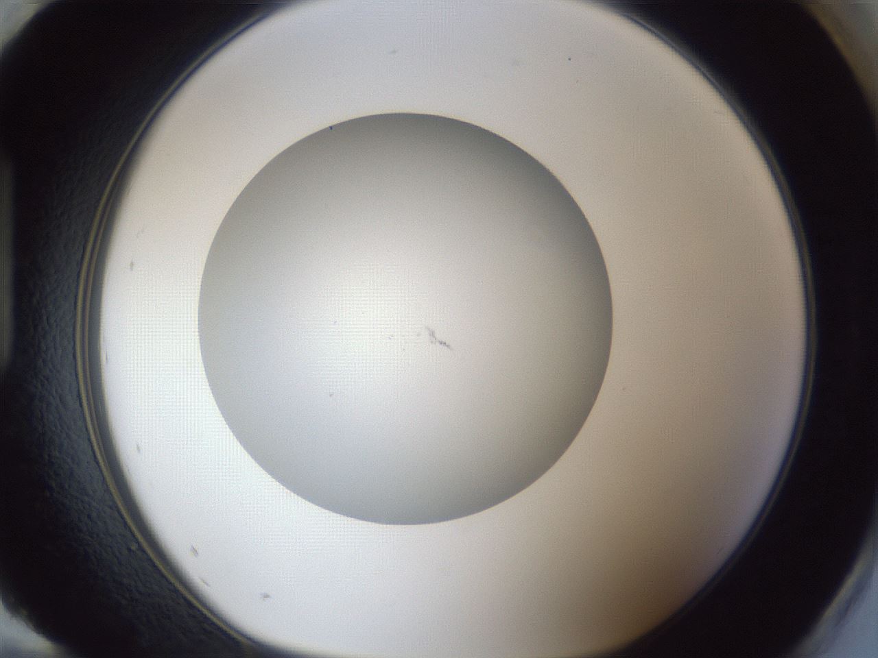 folderID30_plateID1030_batchID1981_wellNum96_profileID1_d1_r44898_ef.jpg