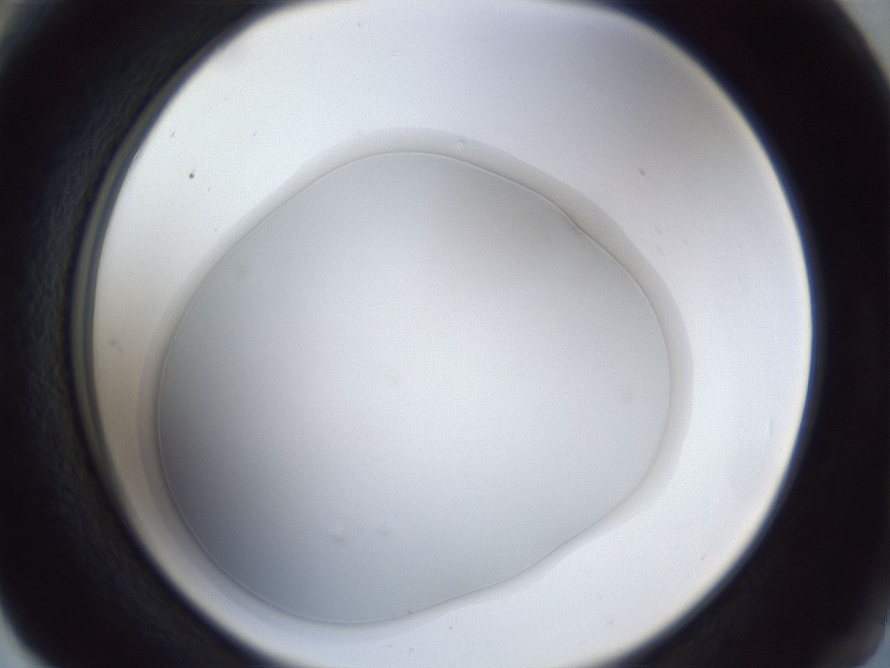 folderID31_plateID1031_batchID1982_wellNum66_profileID1_d2_r44455_ef.jpg