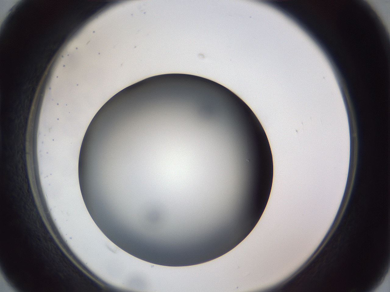 folderID307_plateID1307_batchID4302_wellNum16_profileID1_d1_r78407_ef.jpg