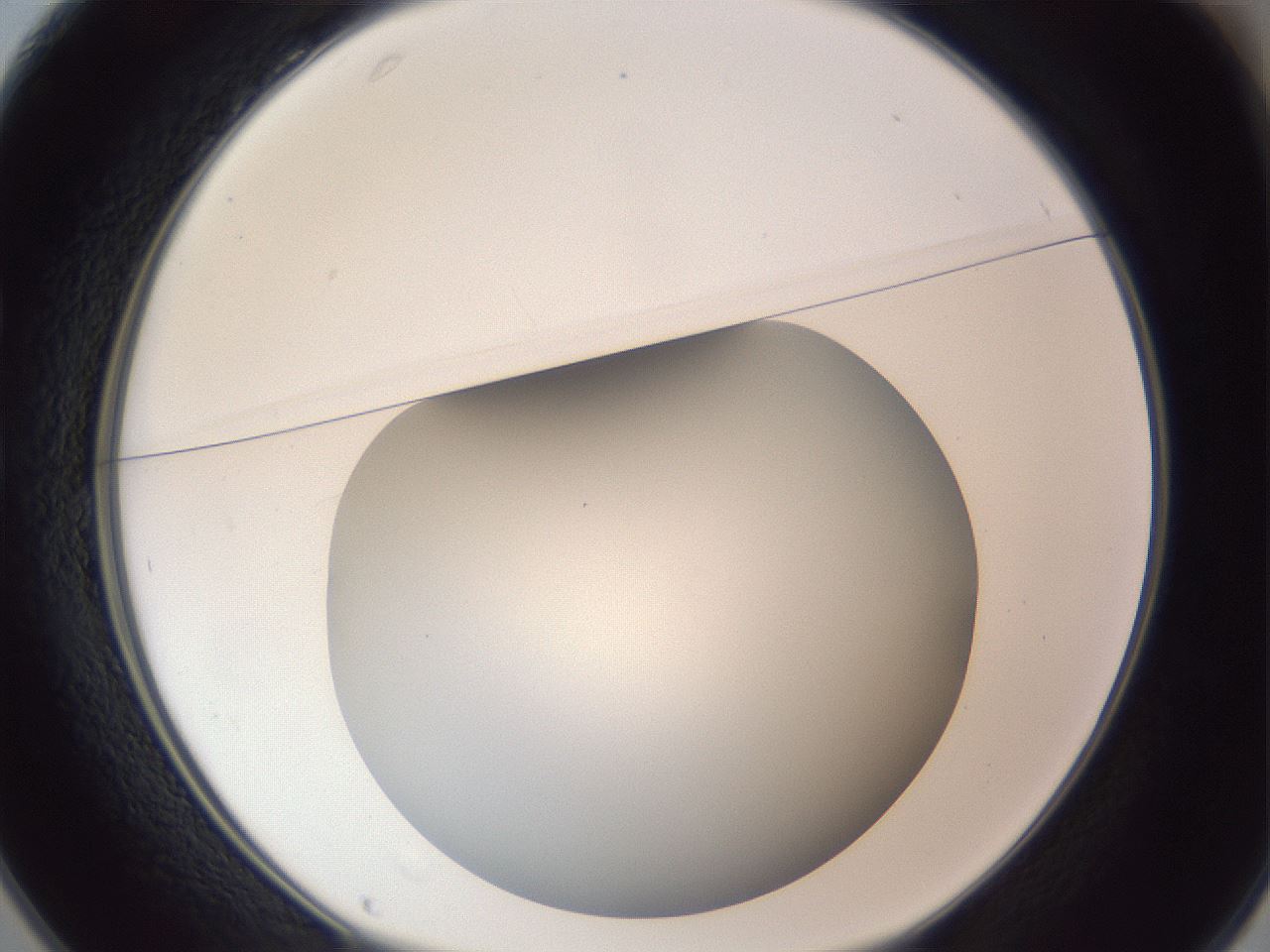 folderID307_plateID1307_batchID4302_wellNum25_profileID1_d1_r78416_ef.jpg