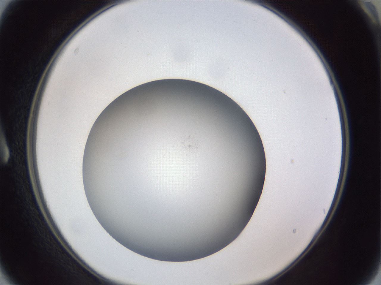 folderID307_plateID1307_batchID4302_wellNum3_profileID1_d1_r78394_ef.jpg