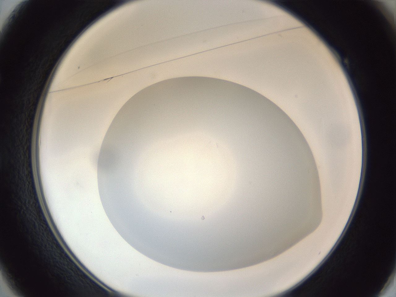folderID307_plateID1307_batchID4302_wellNum49_profileID1_d1_r78440_ef.jpg