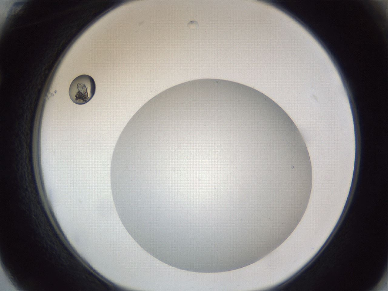 folderID307_plateID1307_batchID4302_wellNum61_profileID1_d1_r78452_ef.jpg