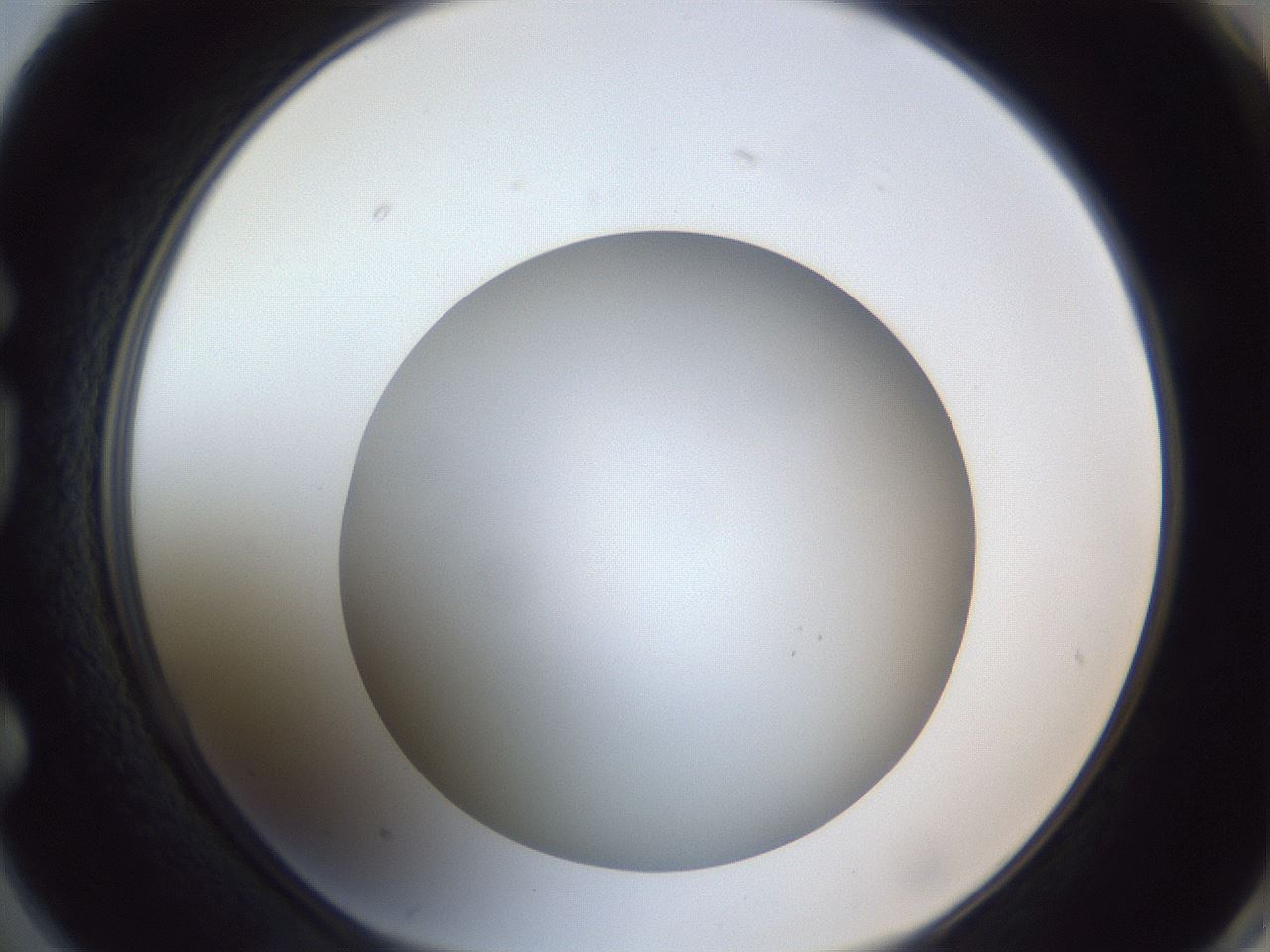 folderID307_plateID1307_batchID4302_wellNum74_profileID1_d1_r78465_ef.jpg