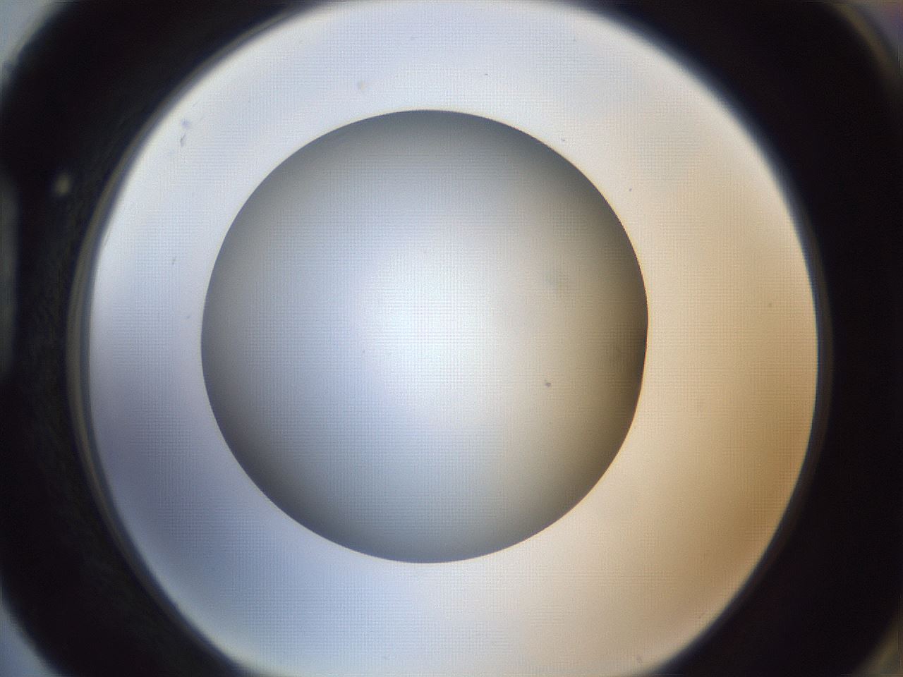folderID307_plateID1307_batchID4302_wellNum88_profileID1_d1_r78479_ef.jpg