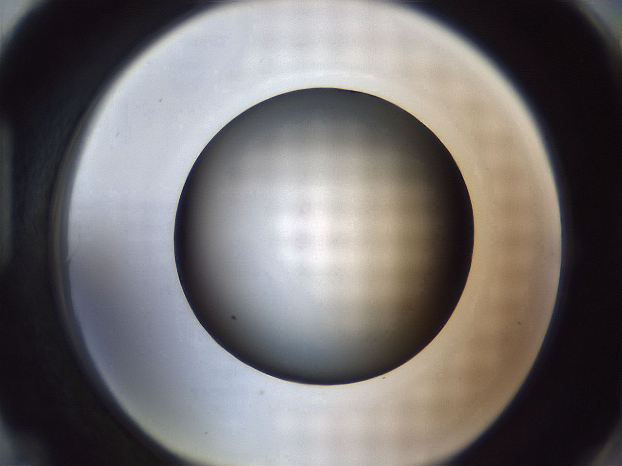 folderID307_plateID1307_batchID4302_wellNum90_profileID1_d1_r78481_ef.jpg