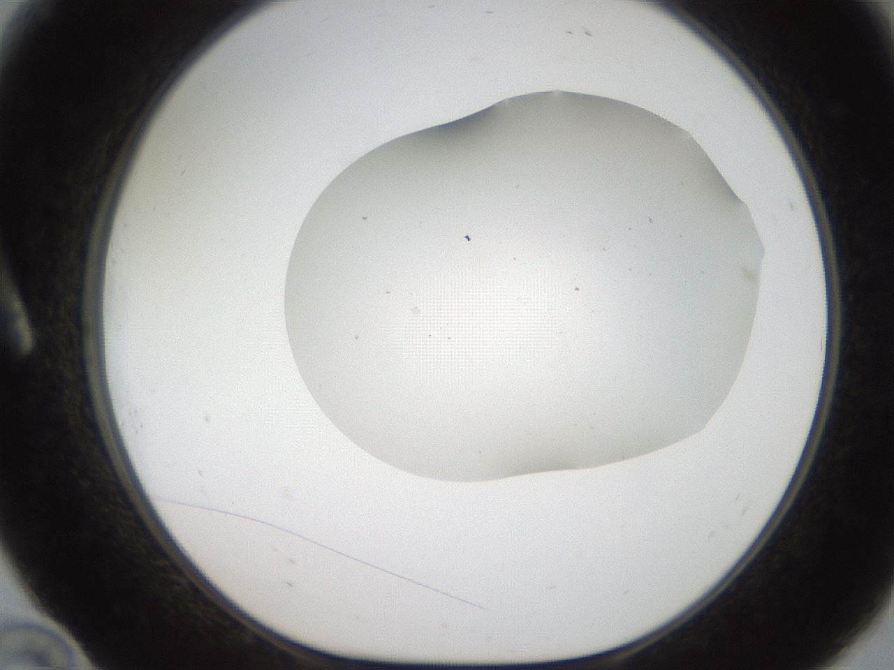 folderID307_plateID2307_batchID10874_wellNum10_profileID1_d1_r162784_ef.jpg