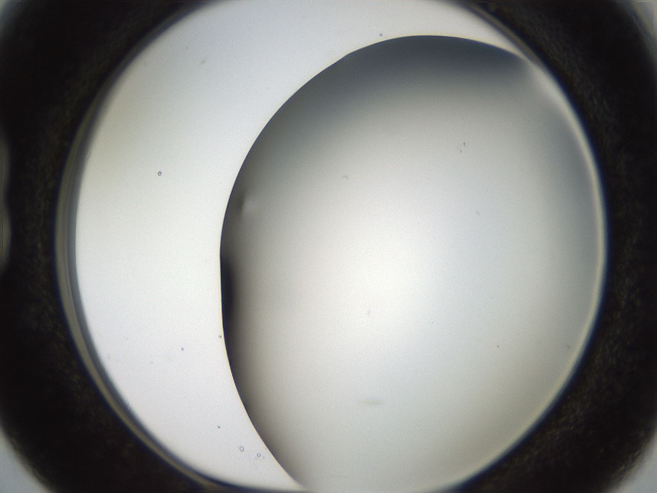 folderID307_plateID2307_batchID10874_wellNum15_profileID1_d1_r162789_ef.jpg