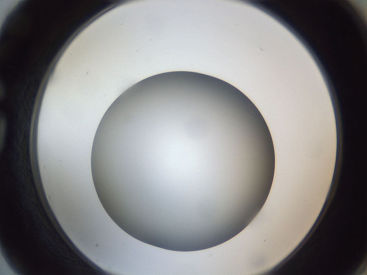 folderID307_plateID1307_batchID4302_wellNum75_profileID1_d1_r78466_ef.jpg