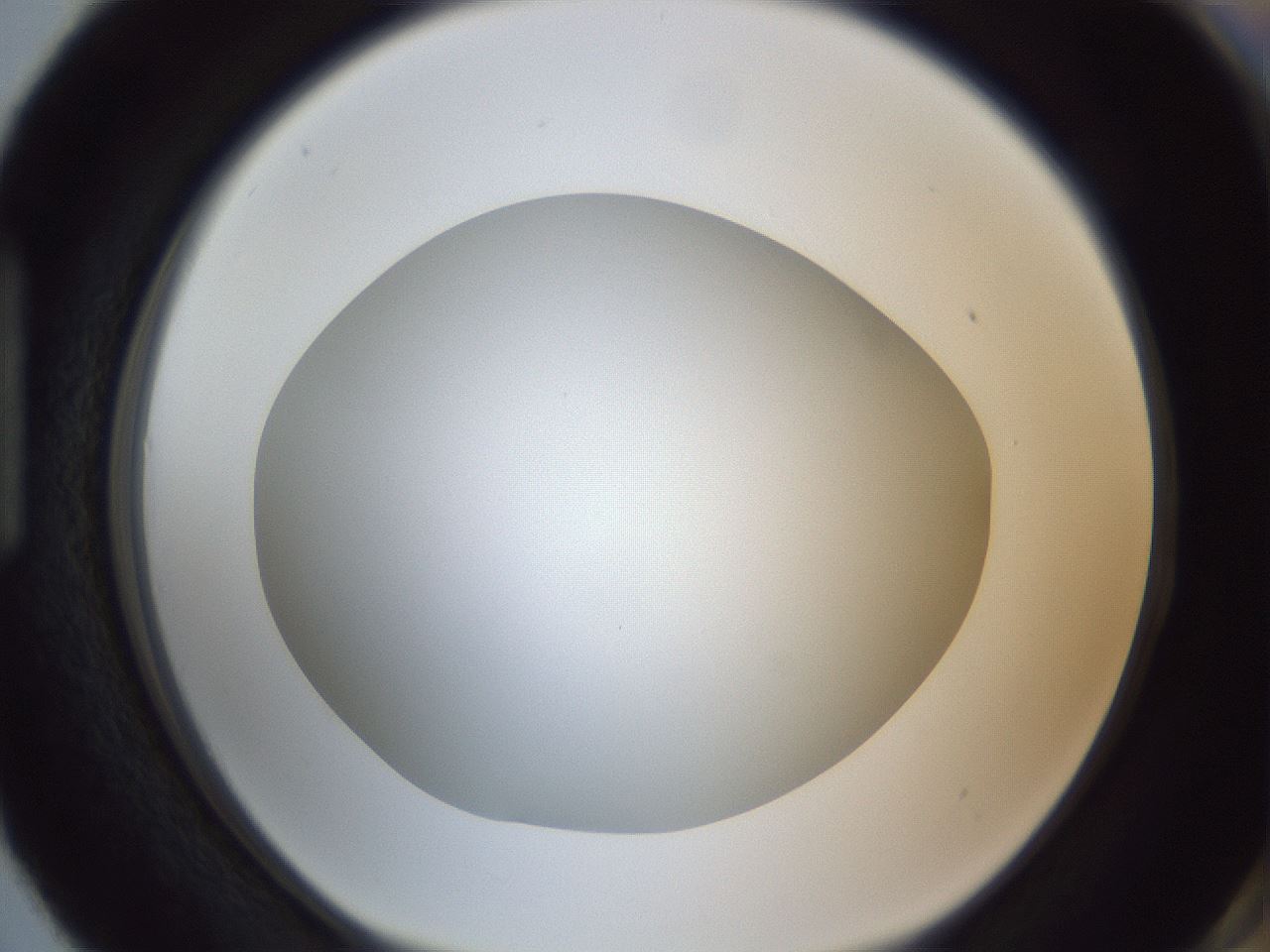 folderID307_plateID1307_batchID4302_wellNum87_profileID1_d1_r78478_ef.jpg